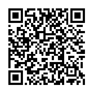 正好令他能毫无阻碍地观察这颗闻名已久的星球二维码生成