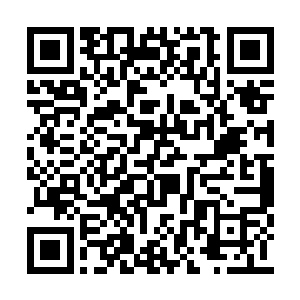 正好位于幽游天冥蛟一族以及碧睛鲅鱼一族的间二维码生成