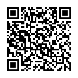 正好发现了准备偷袭九级元兽得到神玄赤炎草的秦奎二维码生成