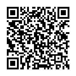 正好另一驾棕红色木头构造的马车也停在了一边二维码生成