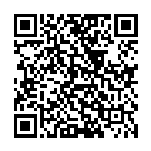 正好可以借着这个机会让我的每样功夫都修炼到极致二维码生成