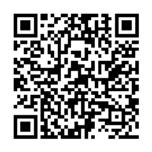 正好可以看到军方的重型装甲部队与地下城的尸兄们对峙二维码生成