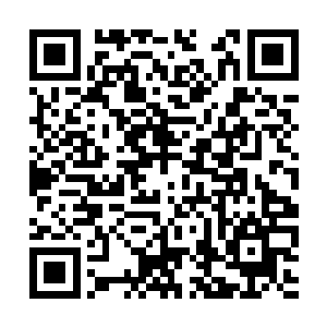 正好周老爷子带着人匆匆忙忙从影壁那边绕了过来二维码生成