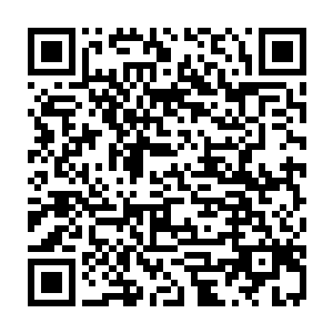 正好和五岁的亚当是同班同学――这也可能是维吉利亚未雨绸缪地为将来布局二维码生成