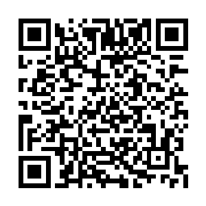 正好在寻找小弟弟的时候发现了自己的任务目标二维码生成