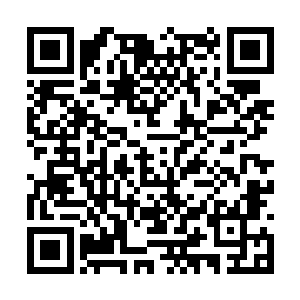 正好孔有霖的妹妹是光明武会英仙座分部的分部长二维码生成