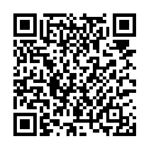 正好将对方的生命元力和魂力全部留下变成自己的二维码生成