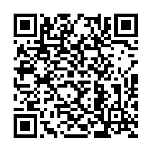 正好就看到了手牵手漫步在人群中的墨修尧和叶璃二维码生成