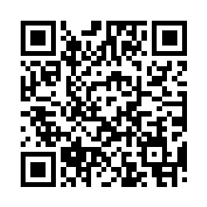 正好撞上了牵着小家伙白嫩小手的陆老爷子二维码生成