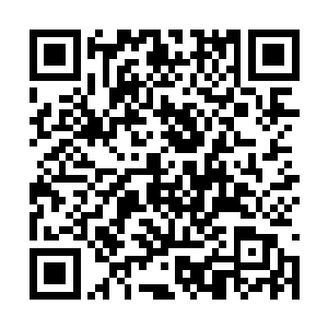 正好是幽灵猫这种脑电波格外发达的觉醒者的克星二维码生成