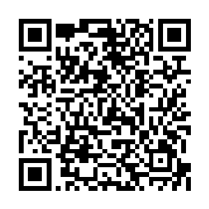 正好有借口打劫这家店也不用担心指南惩罚他了二维码生成