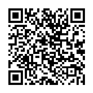 正好看到了依然把轻风剑架在那名护卫脖子上的剑尘二维码生成