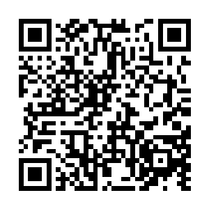 正好看到侯府的另一个侍卫匆匆的从外面跑了进来二维码生成