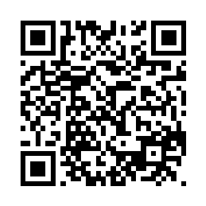 正好看到蕾切尔正在和阿达曼说着什么二维码生成