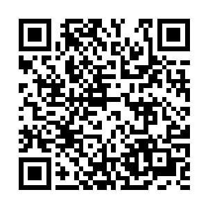 正好看到那个略微单薄的身影正悠悠然地踱步离去二维码生成