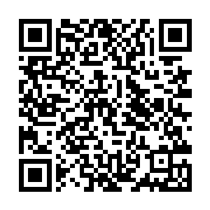 正好看到阿夏公主用脚尖轻盈挑起第二柄血染的战刀二维码生成