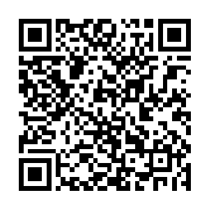 正好看见一个东方面孔的男青年出现在自己的工作室二维码生成