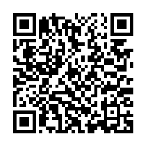 正好碰上凌菲要用那果粉做食物就都好奇心爆棚的加入其中学习二维码生成