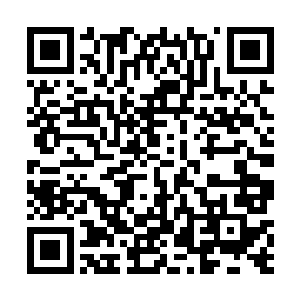 正好落在了刘行健派到加拿大调查童凯的调查专员眼里二维码生成