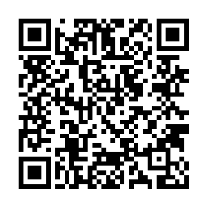 正好运送的物资是俄罗斯拍卖所得五百台治疗舱二维码生成