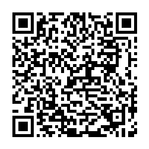 正好这段时间廖辽结束了这一次在北美地区的盛大的巡回演唱会之后二维码生成