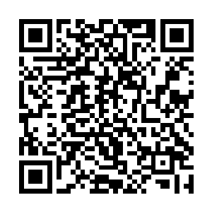 正好透过这个营地将周围的所有标本和奇物都弄到手二维码生成