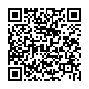 正好遇到丁长生正在接待前来考察的成功和时树金二维码生成