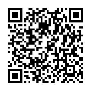 正如他在北京跟朱晓艳和邵丽红两位娇妻提到的二维码生成