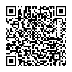 正如她从来没有要求孙奉阳因为他们俩的关系而将那一百万的债务一笔勾销一样二维码生成