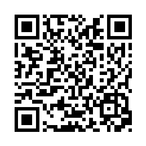 正如它不会为了丢失几百根触手而伤心难过二维码生成