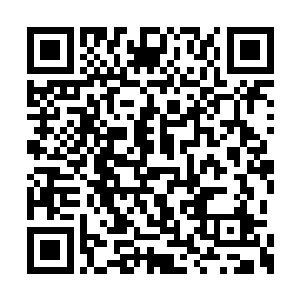 正如那些凭借丹药和灌顶突破到圆觉的修士一样二维码生成