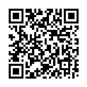 正将之前的分析结论记录到报告里二维码生成