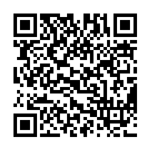 正展示出最迷人笑意准备迎接女王到来的言承欢傻眼了二维码生成