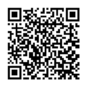 正巧看到对面一楼窗户里正一副吃饱喝足晒太阳模样的三花猫二维码生成