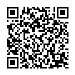 正常的发展路线不该是他告诉炎角人将东西藏在某个地方二维码生成