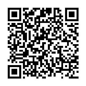 正常的高手都会故意在自己的面部设置上一些阵法和幻术二维码生成