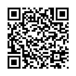 正式发布了她们的第三张录音室专辑二维码生成