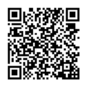 正式因为要素数据化系统和这两个与众不同的子功能模块二维码生成