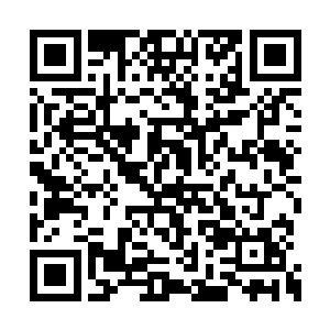 正式将招商引资工作移交给了市委常委郁波分管二维码生成