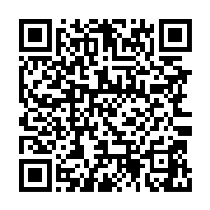正式更新日子为二月一日……大家要耐心等待哦二维码生成