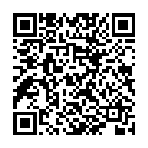 正当他想看看那个新学员身上掉下来的是件什么东西时二维码生成