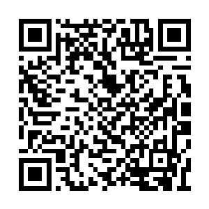 正当凌蘭以为她只要耐心等待大械斗开启就行了二维码生成