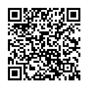 正当孤儿院的人不知道怎么处理夭华这个最后的二维码生成