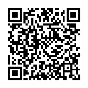 正当彭斯想要转身先杀掉这些碍事的九原战士时二维码生成