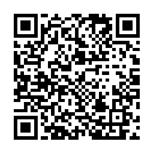正当我将全部的计算力乃至整个神魂都投入到融合之中时二维码生成