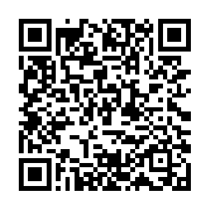 正当我郁闷的时候我感觉到变成本体的特有动静了~二维码生成