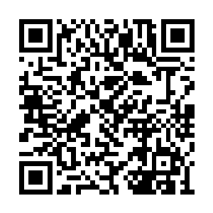 正当杨沫迫不及待地准备再度爬上滑梯地口子处二维码生成