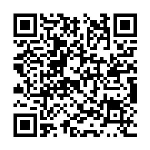 正当猴子准备照着广成子的天灵盖再来一棍的时候二维码生成