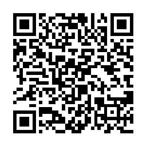 正当秦宇目光四处搜寻有什么可以遮挡住通道的时候二维码生成