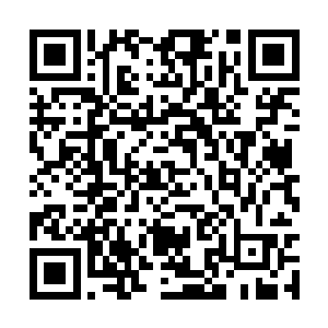 正当苏芷妍抚着父亲的胸膛想让他不要太过生气时二维码生成